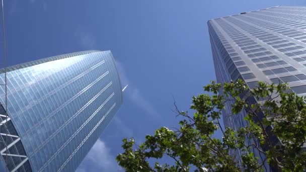 Uitzicht op wolkenkrabbers in het centrum van Los Angeles tegen Blue Sky. De camera kijkt omhoog vanaf de onderkant. Groene boom op de voorgrond. — Stockvideo