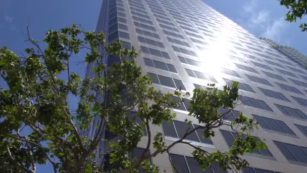 Vista de arranha-céus no centro de Los Angeles contra o céu azul. A câmara olha para cima a partir de baixo. Árvore verde em primeiro plano . — Vídeo de Stock