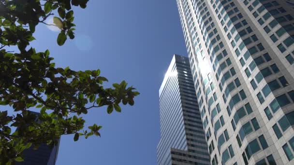 洛杉矶市中心的摩天大楼与蓝天的景色。相机从底部向上看。前景中的绿色树. — 图库视频影像