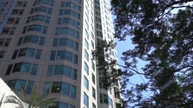 Los Angeles şehir merkezindeki gökdelenlerin mavi gökyüzüne karşı görünümü. Kamera alttan yukarı bakar. Ön planda yeşil ağaç.