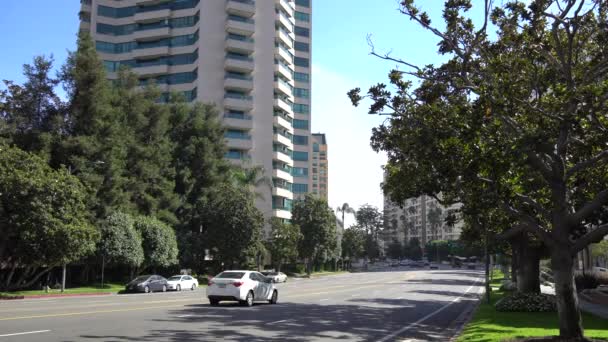 Los Angeles, Kalifornia, Usa - 5 sierpnia 2019: Ruch na Wilshire blvd, Westwood, Los Angeles, Kalifornia, Usa — Wideo stockowe