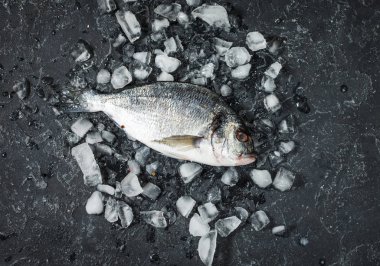 Buz üzerine taş koyu arka plan üzerinde ham taze dorado. Üstten görünüm