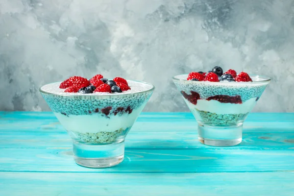 Taze meyveleri ve reçel ile Chia puding. Superfoods kavramı.