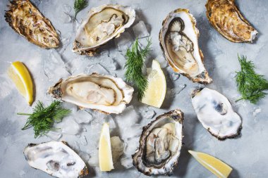 Gri doku beton zemin üzerine limonlu istiridye açıldı. Üstten görünüm