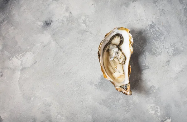 Oyster Aperto Sfondo Grigio Texture Cemento Vista Dall Alto — Foto Stock