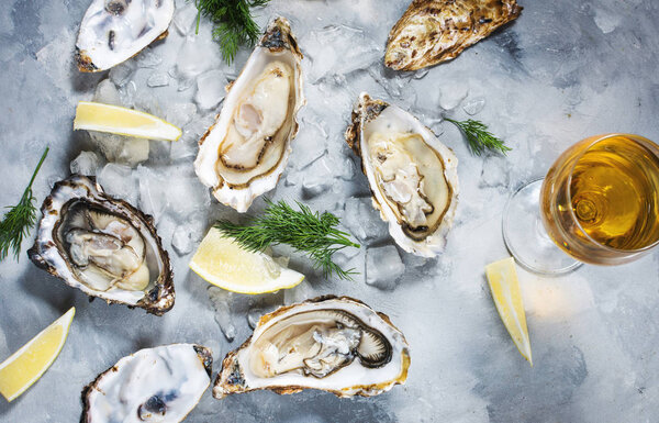 Opened Oysters and glass of white wine on gray concrete texture background. Top view