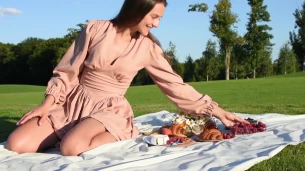 미소짓는 여자가 바깥에서 휴식을 취하고 위에서 위에서 소풍을 — 비디오