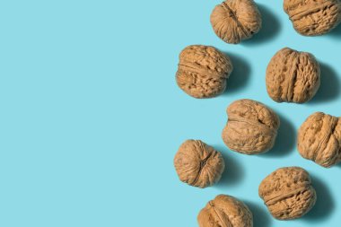 Ceviz 'in üst görüntüsü mavi arkaplanda izole edilmiş. Minimum konsept. Düz yatıyordu. Boşluğu kopyala.