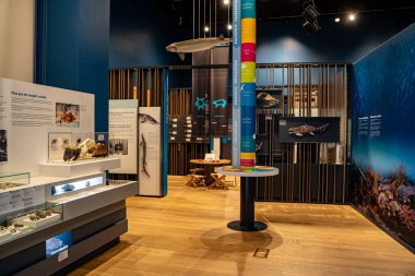 Chimczuk Müzesi 'nin iç manzarası. Windsor, Kanada - 11 Eylül 2025