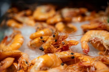 Deniz ürünleri pazarında buzdaki taze çiğ karidesleri kapatın..