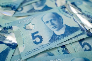 Wilfrid Laurier portresiyle Kanada 'nın beş dolarlık banknotlarını kapatın. Toronto, Kanada - 18 Eylül 2025.