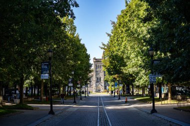 Toronto Üniversitesi kampüsünün manzarası. Toronto, Kanada - 20 Eylül 2025.