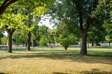 Yeşillik ve açık manzaralı Marilyn Bell Park manzarası.