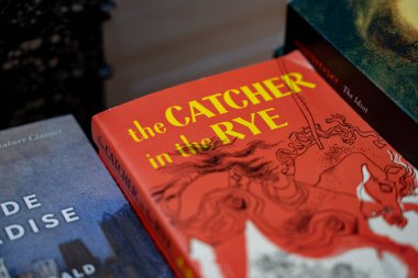 J D Salinger 'ın kitabı 