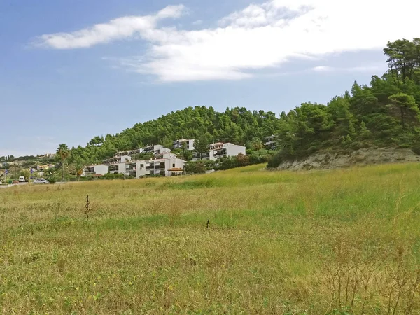 Houses on a rock in Greece, near the forest — Stock Photo, Image