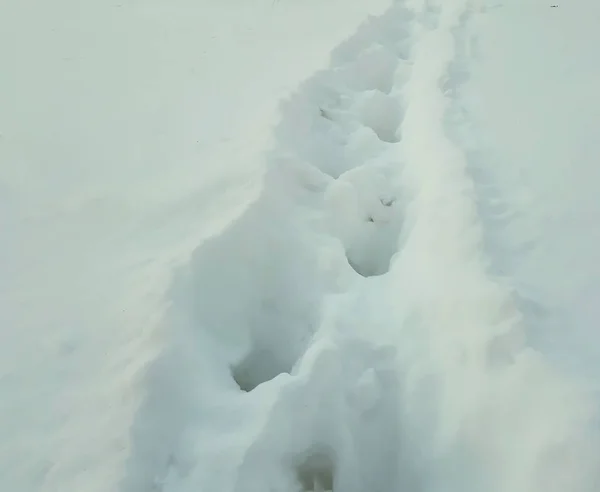 Deep Human footprints in the snow close up — Stock Photo, Image