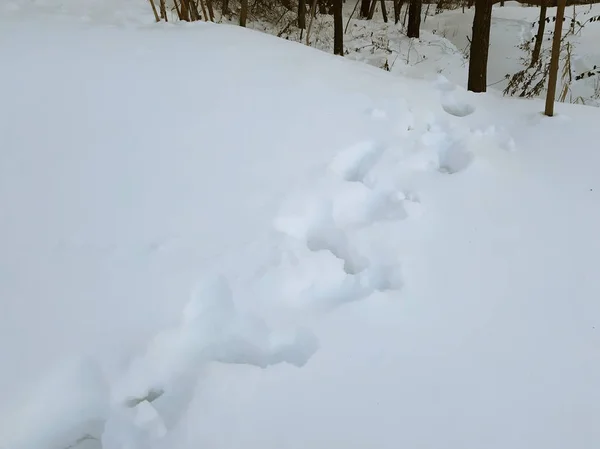 Menschliche Fußabdrücke im Schnee aus nächster Nähe — Stockfoto