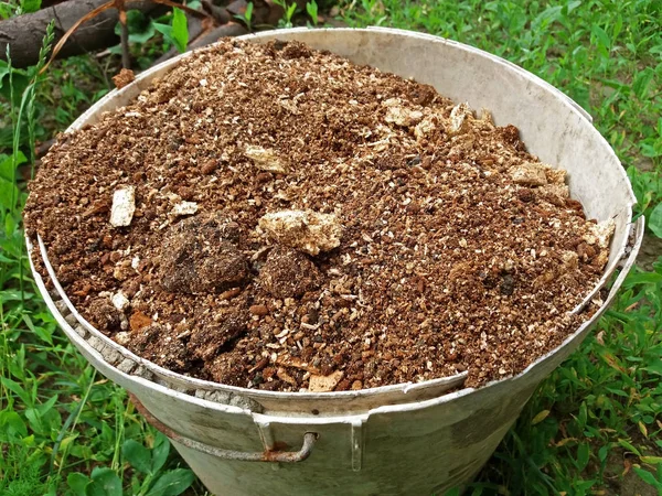 Un cubo lleno de humus de cerca —  Fotos de Stock