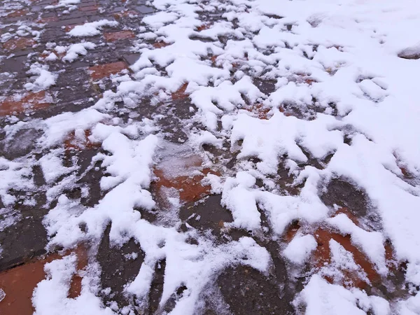 Chicken footprints in the snow in winter