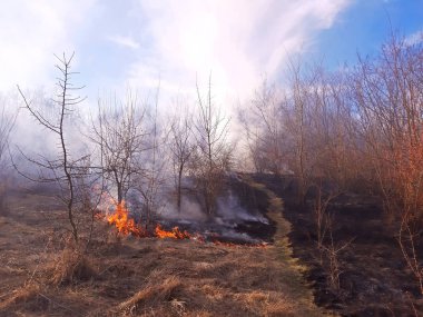 Kuru ot orman yangını baharda yakar, güçlü Rüzgar genişletir