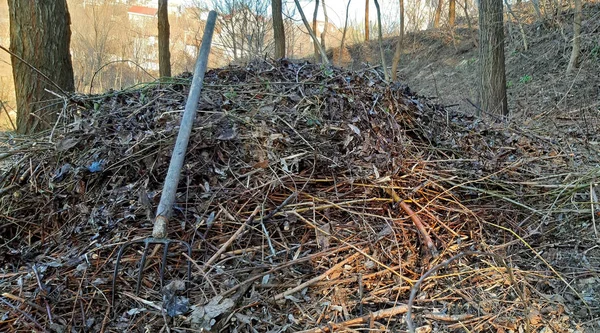 Hojas y ramas para uso en compost — Foto de Stock