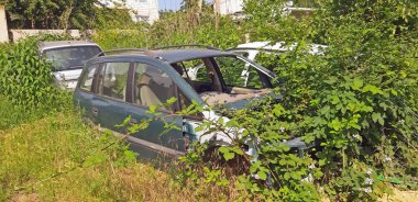 Terk edilmiş ve kırılmış arabalar. Içinde yabani bitkiler yetişir