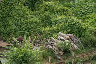 Bazı yakacak odun ev Copy Space kesilmiş