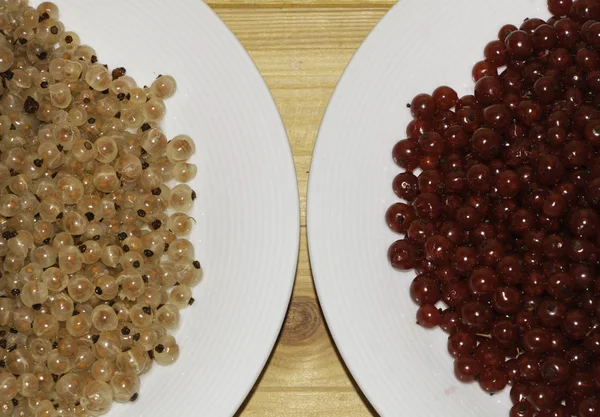 Rote Johannisbeere vs weiße auf dem Teller — Stockfoto