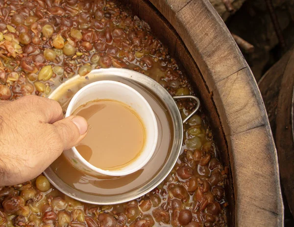 White wine fermentation in process. Hand take a cup of wine. a glass of wine juice. Wine making concept