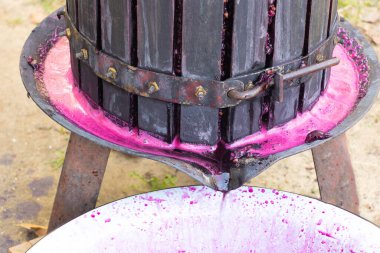 Şarap yapma sürecinde. Sıkıştırıcı kullanıldı.