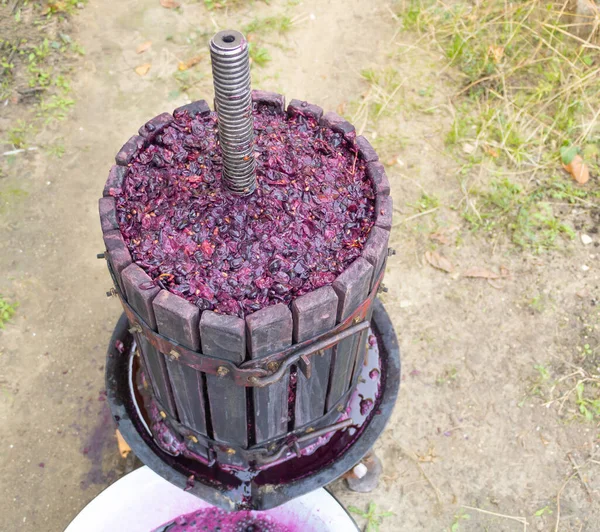 Presseur de raisin de vin plein de matériel de vin. Comment faire du vin à la maison — Photo