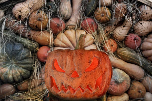 Halloween Dýně Pozadí Dýně Tmě Hořící Dýňové Lucerny — Stock fotografie