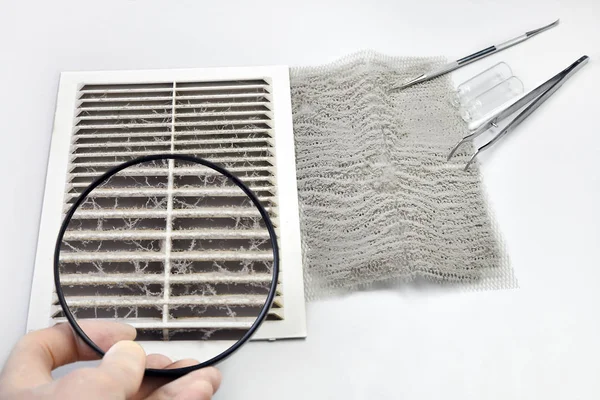  Büyüteç altında toz muayene.