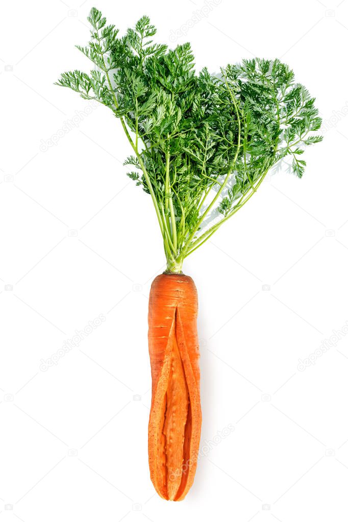 Fresh big red carrot sliced ������on a white background. 