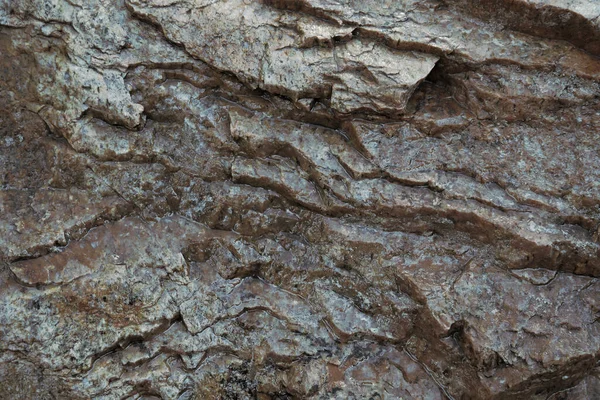 抽象的な暗石の背景 ぬれた岩の質感 滑りやすい表面 — ストック写真