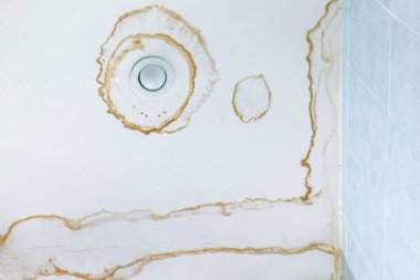 Eve giren suyun beyaz tavanındaki küf lekesi. Mantar rutubeti.