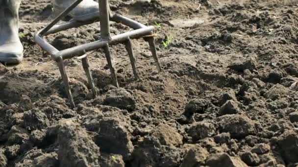 Cavar Terra Para Plantio Futuro Com Cultivador Forquilha Agricultura Nas — Vídeo de Stock