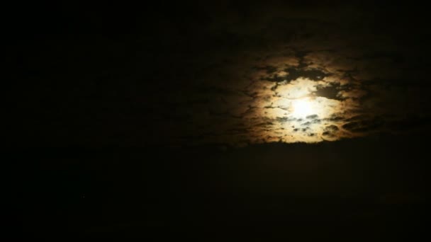 Luna Llena Nocturna Nubes Movimiento Rápido Sobre Fondo Oscuro Árboles — Vídeos de Stock