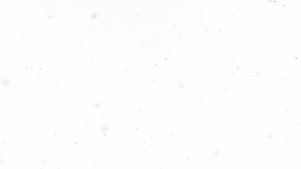 Soyut Siyah Parçacıklar Beyaz Arkaplanda Hareket Ederler Tozlu Oda Kavramı — Stok video