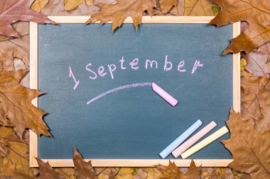 Sonbahar kuru yapraklarının arkaplanını incelemek için tebeşir tahtası. 1 Eylül 'de okulun başlama konsepti.