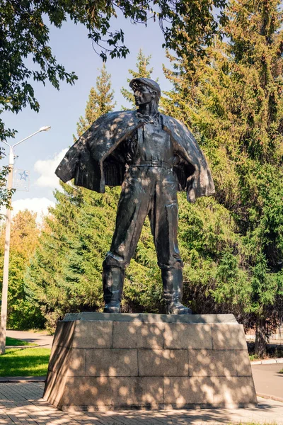 Barnaul Russia Agosto 2020 Monumento Tselinnik Nel Parco Tselinnikov Installato — Foto Stock