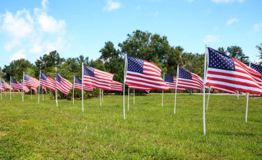 Birden çok büyük Amerikan bayrakları dalga rüzgarda vatansever görüntüsünü tatil sırasında.