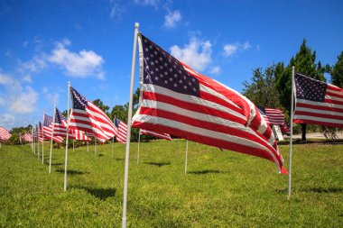 Birden çok büyük Amerikan bayrakları dalga rüzgarda vatansever görüntüsünü tatil sırasında.