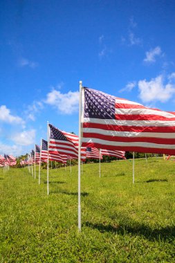 Birden çok büyük Amerikan bayrakları dalga rüzgarda vatansever görüntüsünü tatil sırasında.