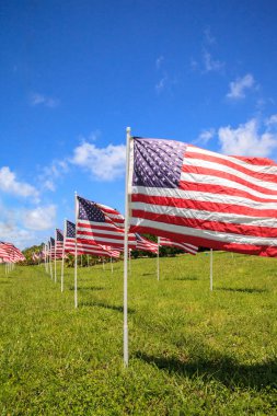 Birden çok büyük Amerikan bayrakları dalga rüzgarda vatansever görüntüsünü tatil sırasında.
