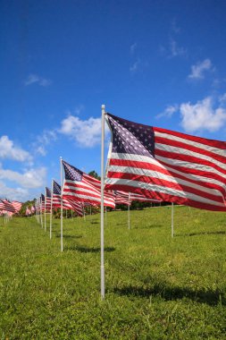 Birden çok büyük Amerikan bayrakları dalga rüzgarda vatansever görüntüsünü tatil sırasında.