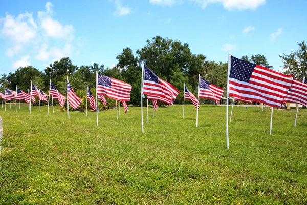 Birden çok büyük Amerikan bayrakları dalga rüzgarda vatansever görüntüsünü tatil sırasında.