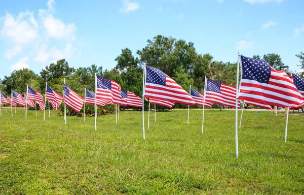 Birden çok büyük Amerikan bayrakları dalga rüzgarda vatansever görüntüsünü tatil sırasında.