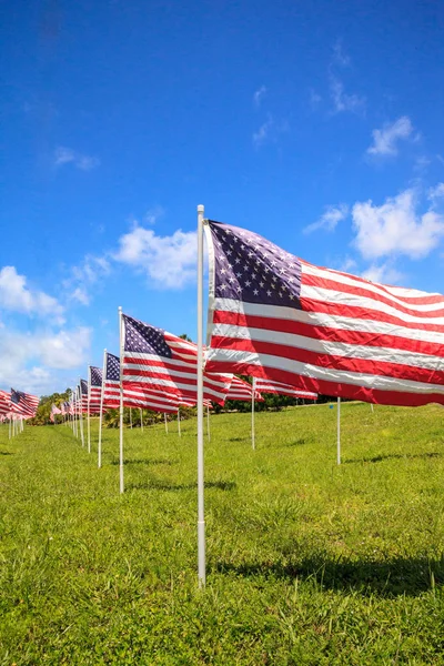 Patriotic display of multiple large American flags wave in the wind during the holiday.