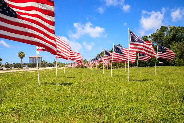 Patriotic display of multiple large American flags wave in the wind during the holiday.